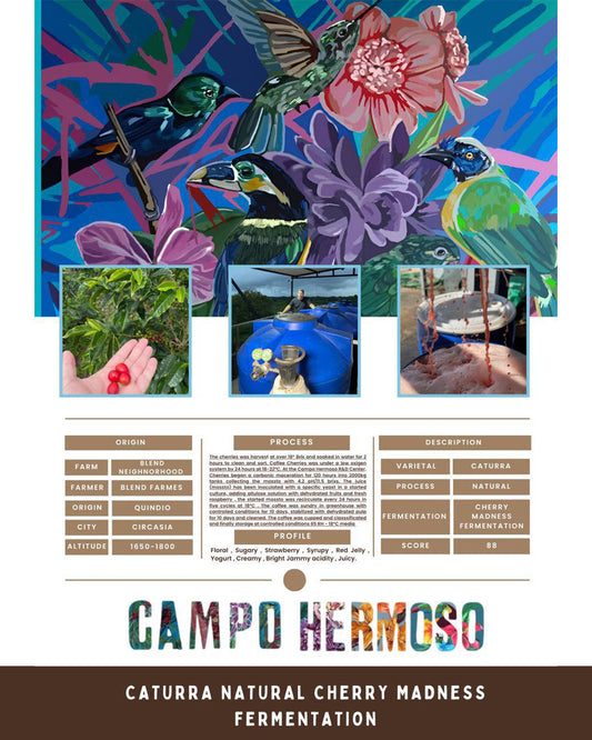 COLOMBIA CAMPO HERMOSO HONEY STRAWBERRY FERMENTED