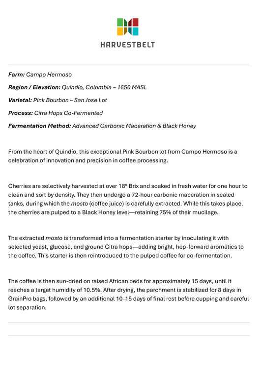 COLOMBIA CAMPO HERMOSO PINK BOURBON CM HONEY IPA FERMENTED