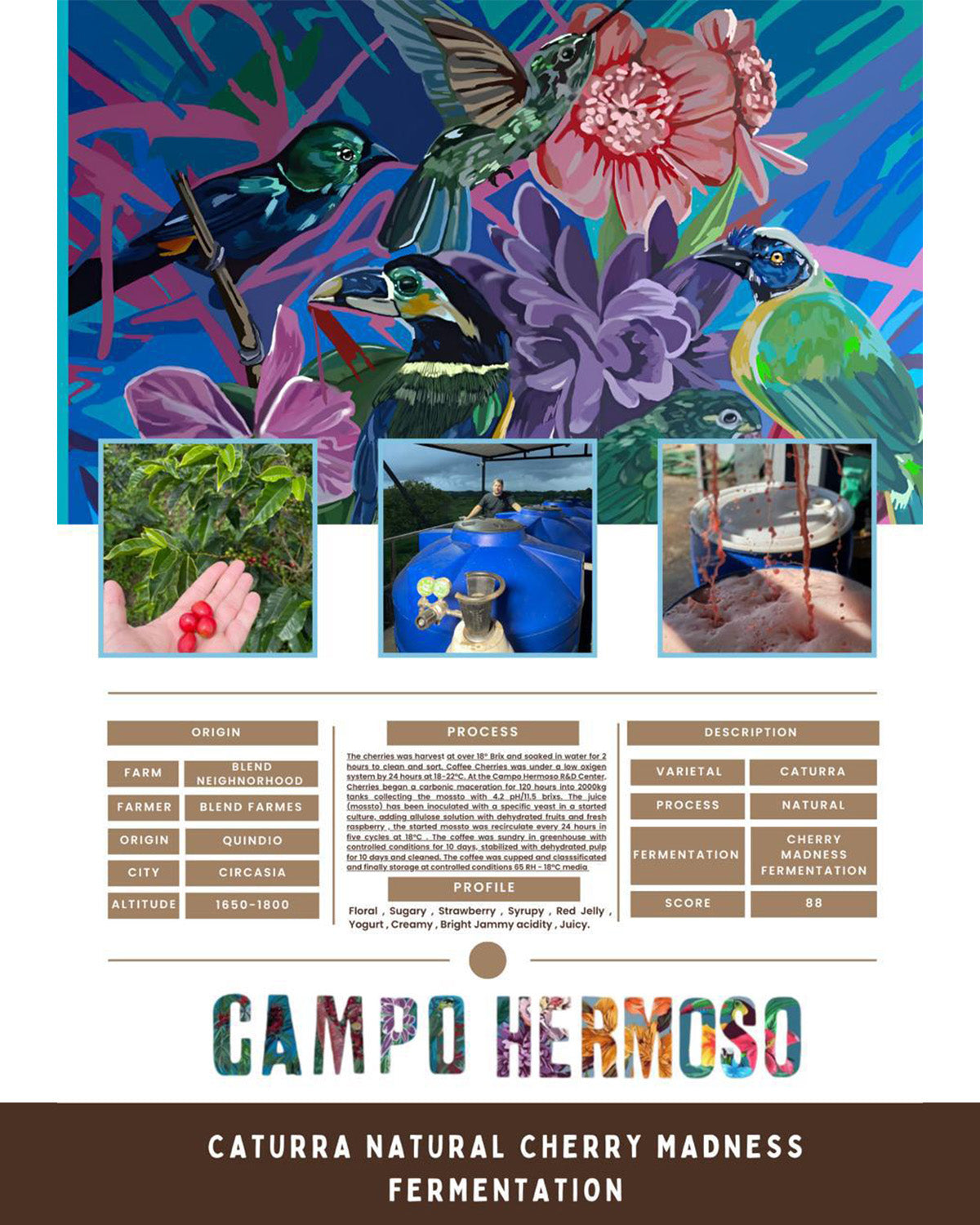 كولومبيا كامبو هيرموسو عسلية فراولة  فيرمنتيد  